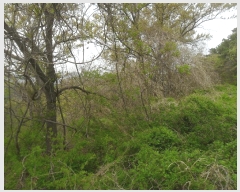  2024Ÿ105627 泲 Ծȱ  ̸ 1118      (1)