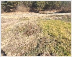  2024Ÿ105627 泲 Ծȱ  ̸ 1118      (1)