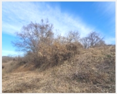  2024Ÿ105627 泲 Ծȱ  ̸ 1118      (1)