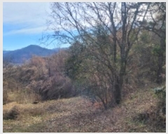  2024Ÿ105627 泲 Ծȱ  ̸ 1118      (1)