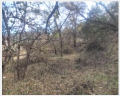  2024Ÿ105627 泲 Ծȱ  ̸ 1118      (1)