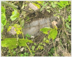  2024Ÿ106187 泲 Ծȱ  ϸ 251      (1)