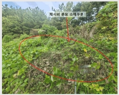  2024Ÿ106187 泲 Ծȱ  ϸ 251      (1)