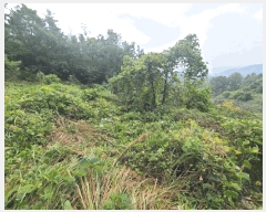  2024Ÿ106187 泲 Ծȱ  ϸ 251      (1)