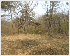  2024Ÿ107050 泲 Ծȱ ĥ  172      (1)