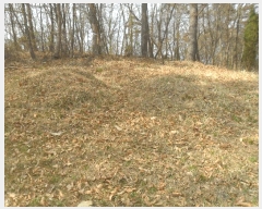  2024Ÿ107050 泲 Ծȱ ĥ  172      (1)