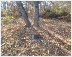  2024Ÿ107050 泲 Ծȱ ĥ  172      (1)