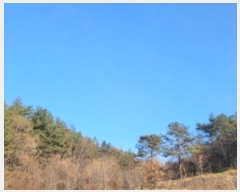  2024Ÿ107050 泲 Ծȱ ĥ  172      (1)