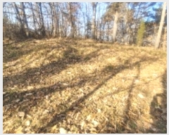  2024Ÿ107050 泲 Ծȱ ĥ  172      (1)