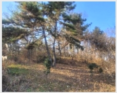  2024Ÿ107050 泲 Ծȱ ĥ  172      (1)