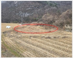  2024Ÿ107098 泲 Ƿɱ  ﰡ 65      ()