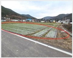  2024Ÿ107098 泲 Ƿɱ  ﰡ 65      ()