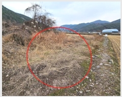  2024Ÿ107098 泲 Ƿɱ  ﰡ 65      ()