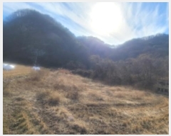  2024Ÿ107098 泲 Ƿɱ  ﰡ 65      ()