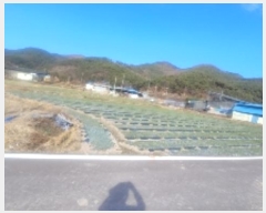  2024Ÿ107098 泲 Ƿɱ  ﰡ 65      ()