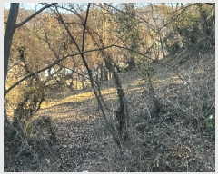  2024Ÿ107395 泲 Ծȱ Ծȸ ̸ 530-1      (1)