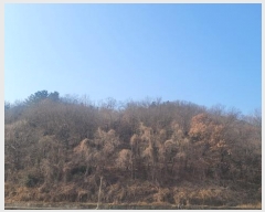  2024Ÿ107395 泲 Ծȱ Ծȸ ̸ 530-1      (1)