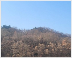  2024Ÿ107395 泲 Ծȱ Ծȸ ̸ 530-1      (1)