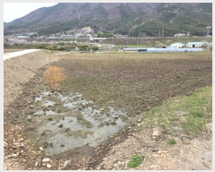  2024Ÿ��494 �泲 â���� ���������� ���ϸ� ������ 630     ����(��)���