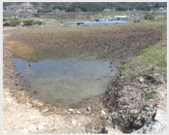  2024Ÿ��494 �泲 â���� ���������� ���ϸ� ������ 630     ����(��)���