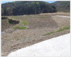  2024Ÿ��494 �泲 â���� ���������� ���ϸ� ������ 630     ����(��)���