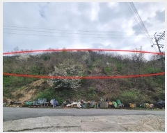  2024Ÿ��784  �Ӿ߰��