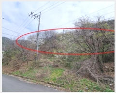  2024Ÿ��784  �Ӿ߰��