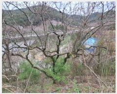  2024Ÿ��784  �Ӿ߰��