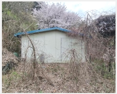  2024Ÿ��784  �Ӿ߰��