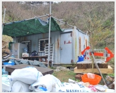  2024Ÿ��784  �Ӿ߰��