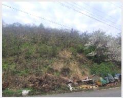  2024Ÿ��784  �Ӿ߰��