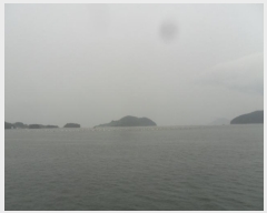  2024Ÿ��1541 â���� ���������� ������ ��������       ����ǰ��