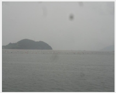  2024Ÿ��1541 â���� ���������� ������ ��������       ����ǰ��