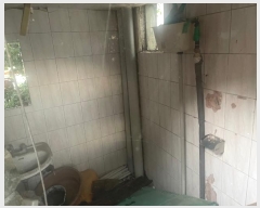  2024Ÿ��1954 �泲 â���� ���������� ������ 137-1      ����(����)���