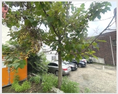  2024Ÿ��1954 �泲 â���� ���������� ������ 137-1      ����(����)���