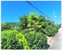  2024Ÿ��2001  ����