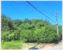  2024Ÿ��2001  ����