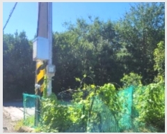  2024Ÿ��2001  ����