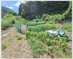  2024Ÿ��2100  ����