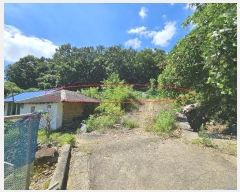  2024Ÿ��2100  ����