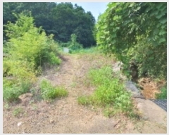  2024Ÿ��2100  ����