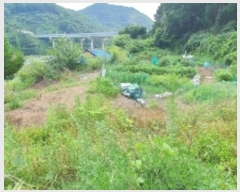  2024Ÿ��2100  ����