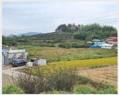  2024Ÿ2209 泲 Ծȱ ĥ 뼺 392-2      ()