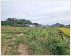  2024Ÿ2209 泲 Ծȱ ĥ 뼺 392-2      ()