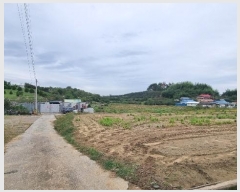  2024Ÿ2209 泲 Ծȱ ĥ 뼺 392-2      ()