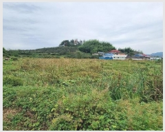  2024Ÿ2209 泲 Ծȱ ĥ 뼺 392-2      ()