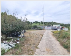  2024Ÿ2209 泲 Ծȱ ĥ 뼺 392-2      ()