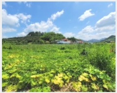  2024Ÿ2209 泲 Ծȱ ĥ 뼺 392-2      ()