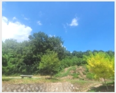  2024Ÿ2315 泲 Ƿɱ  õ 44      (Ӿ)