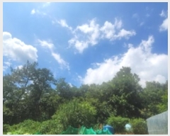  2024Ÿ2315 泲 Ƿɱ  õ 44      (Ӿ)